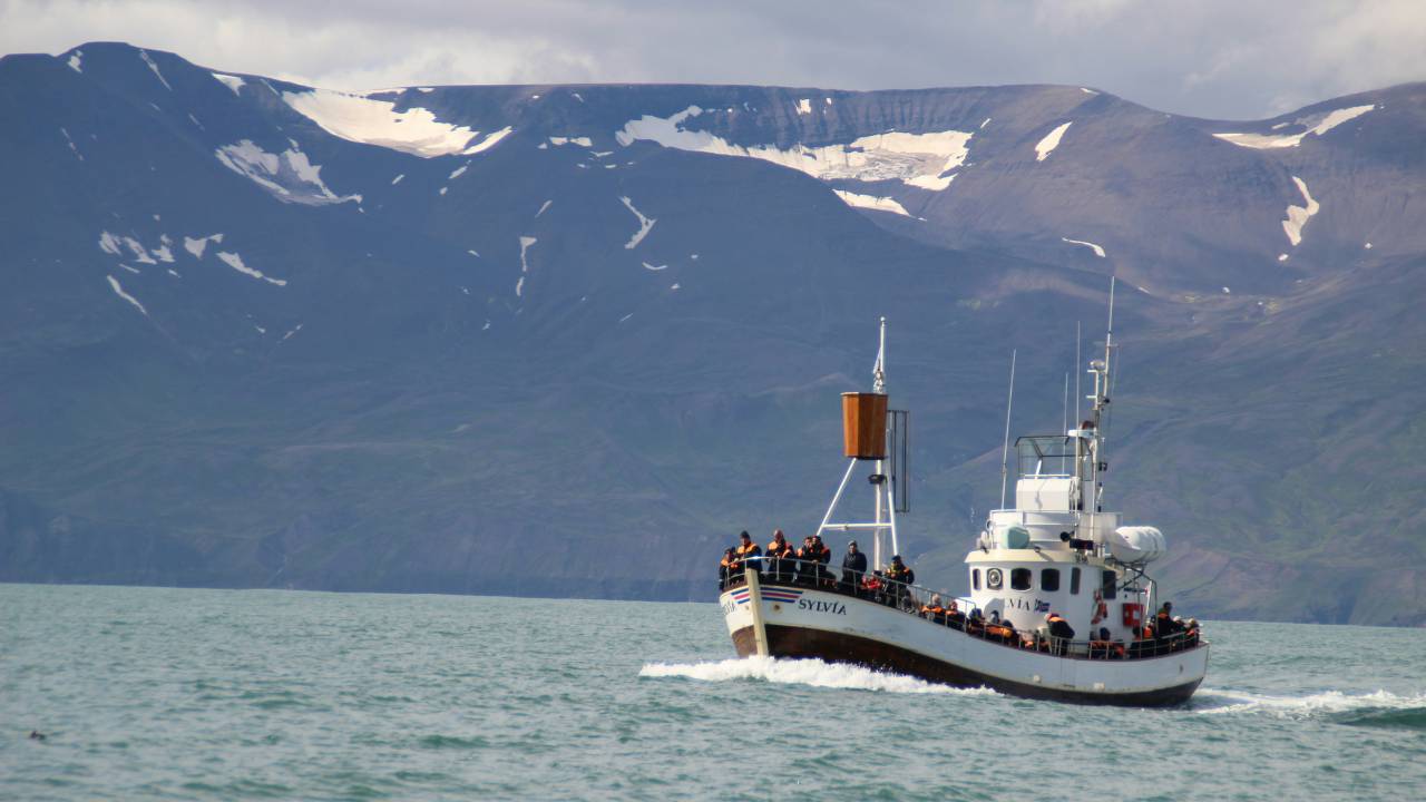 A photo of a boat sailing near the coast of Iceland